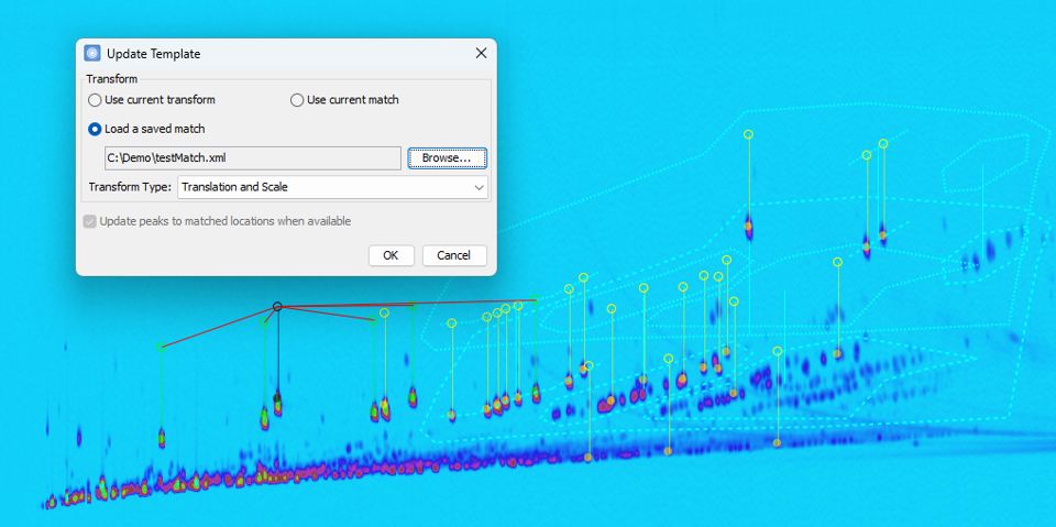 Update Template action dialog with saved match file option