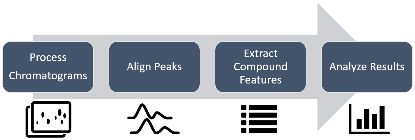 Analysis Workflow